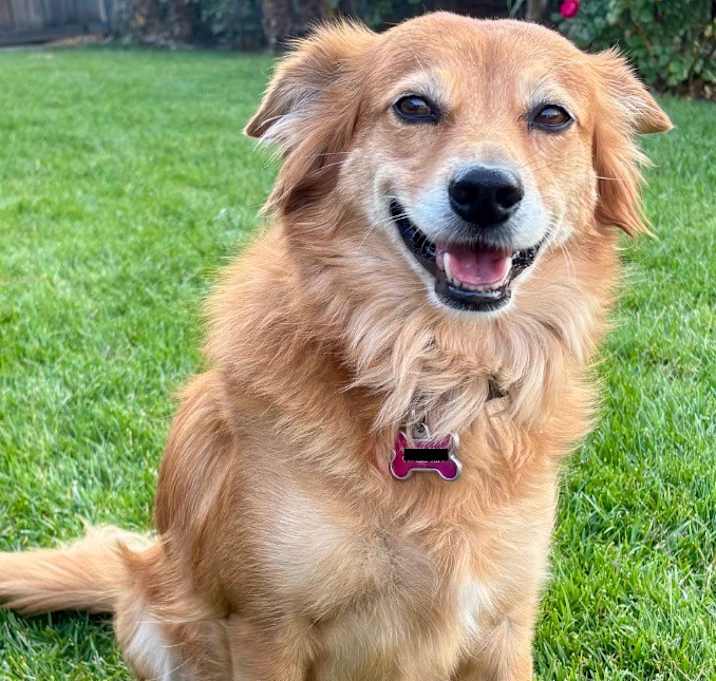 Photo of Sadie