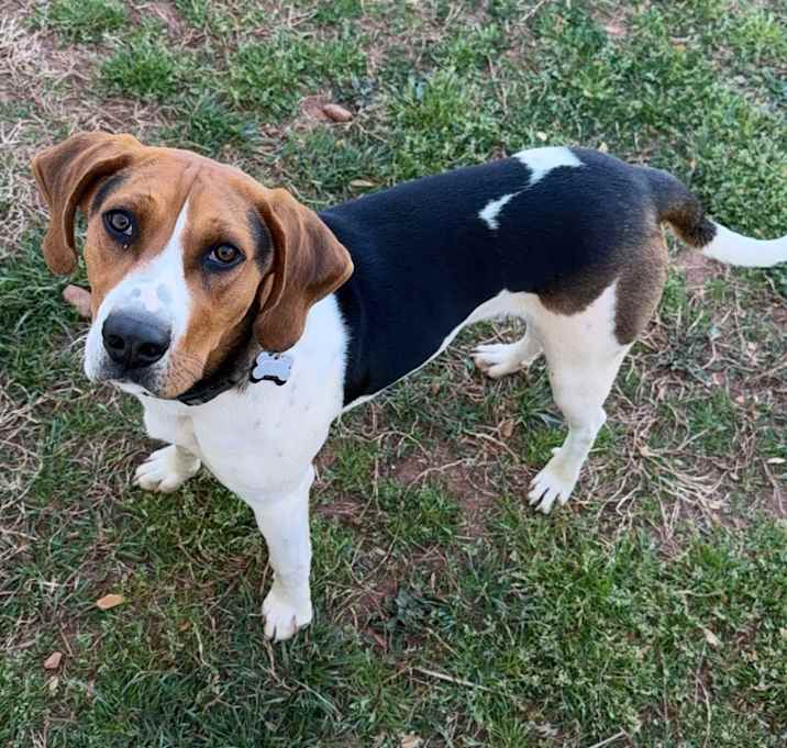 Photo of Taz