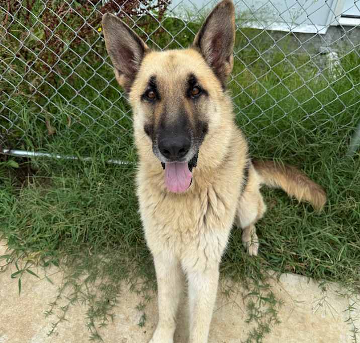 Photo of Jax