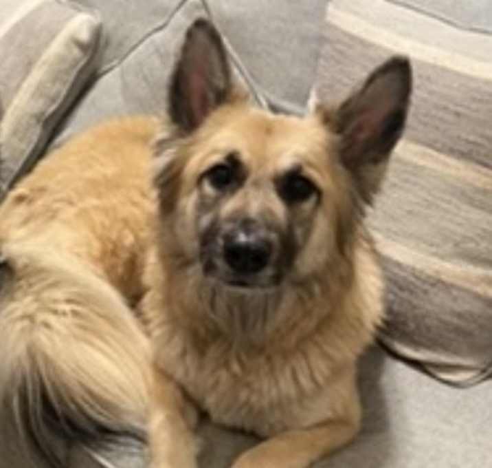 Photo of Zoe