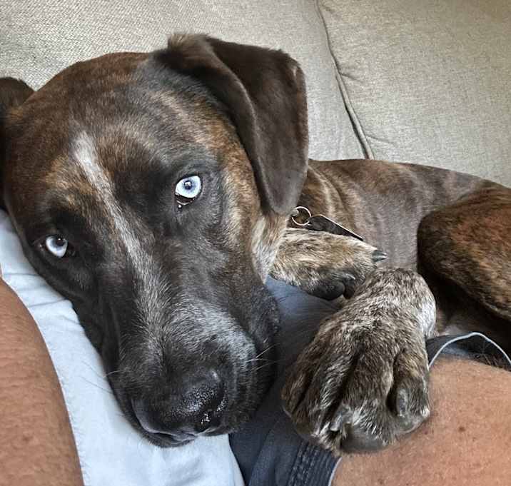 Photo of Tucker