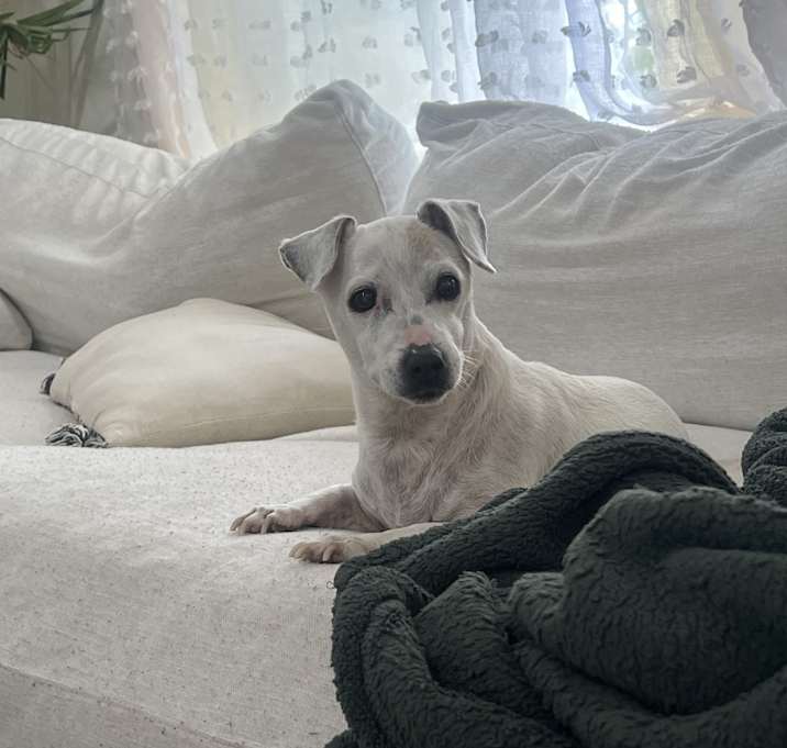 Photo of Lola