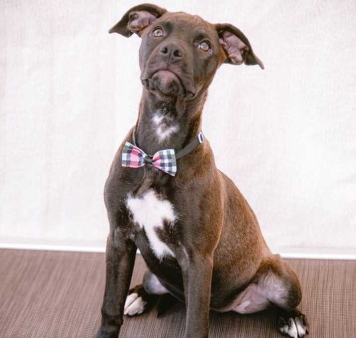 Photo of Fergie