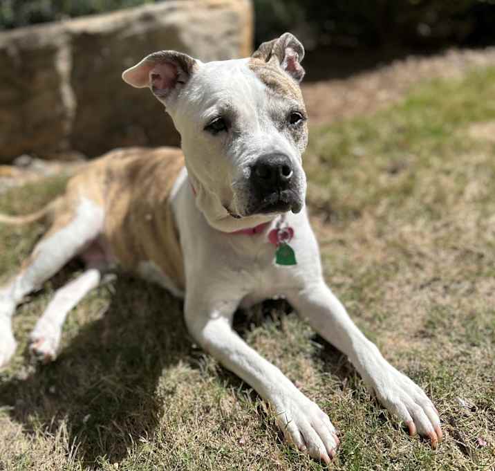 Photo of Nickel