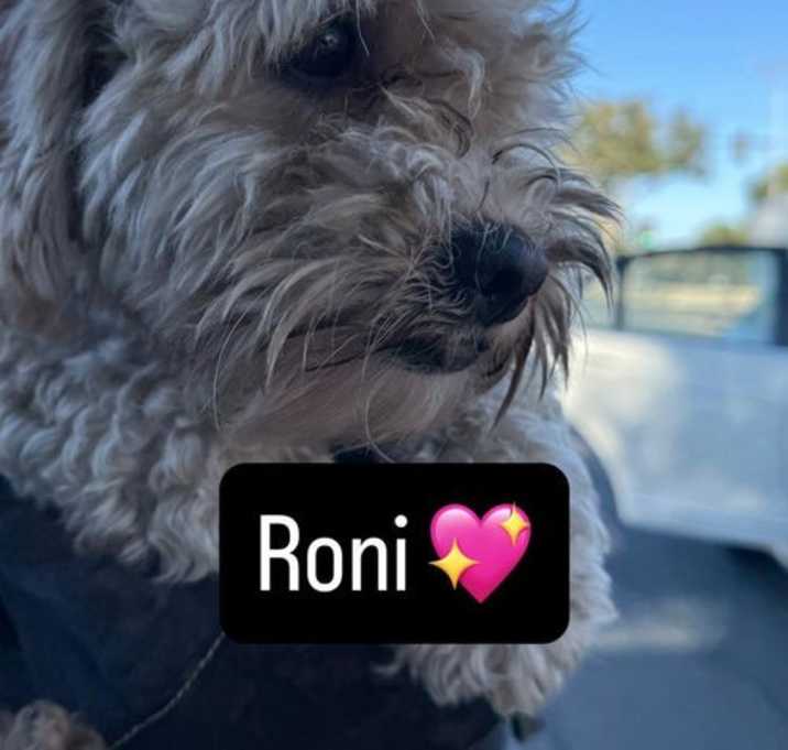 Photo of Roni