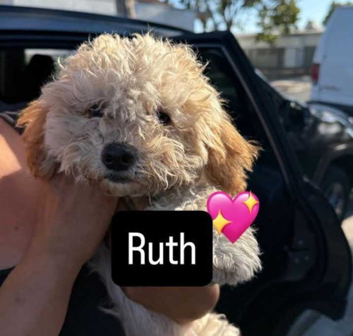 Photo of Ruth