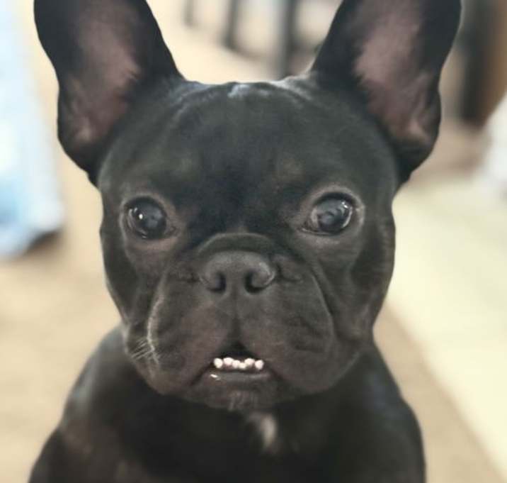 Photo of Mugsy