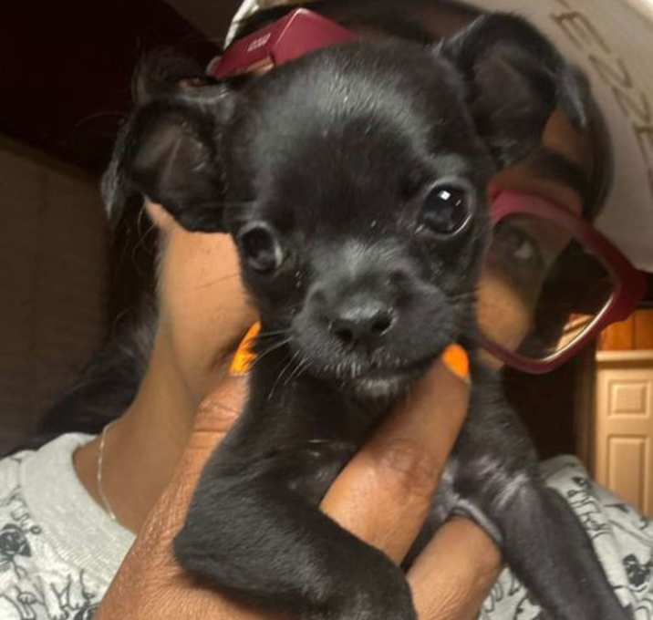 Photo of Vivi