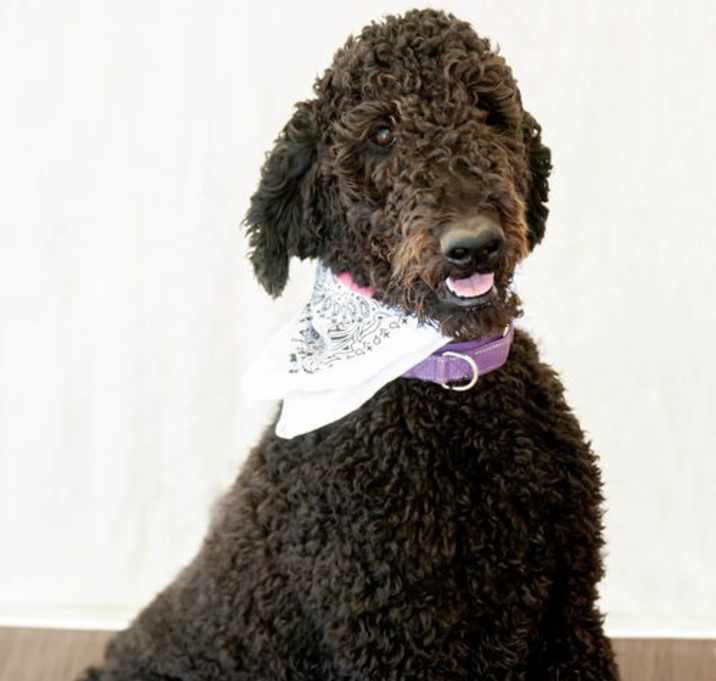 Photo of Zero