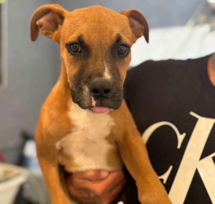 Photo of Bentley