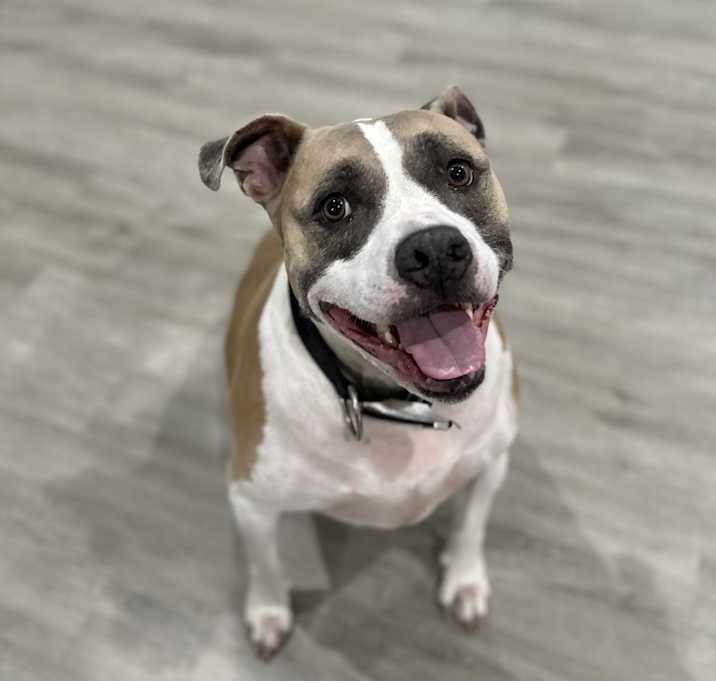 Photo of Remington