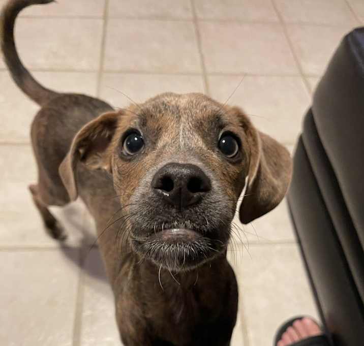 Photo of Squidward (In Foster)