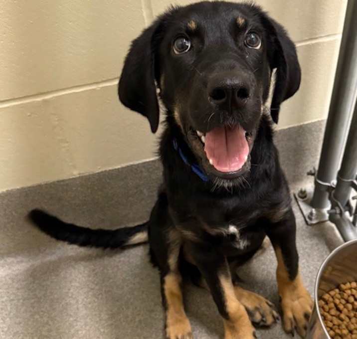 Photo of Frodo