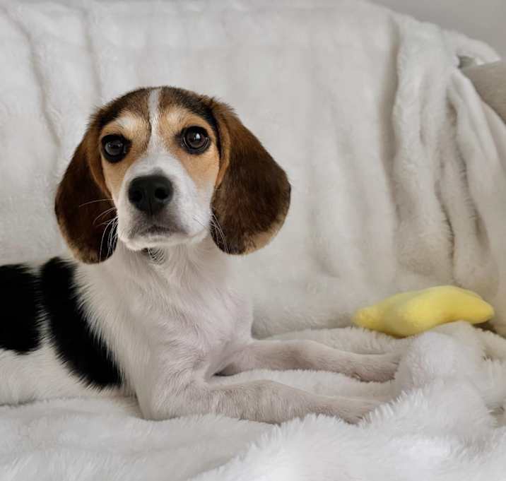 Photo of Loretta