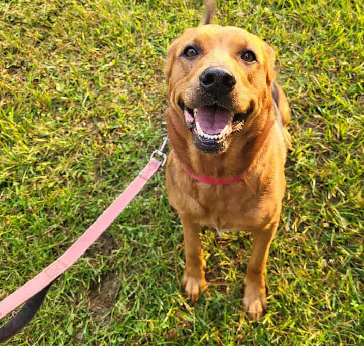 Photo of Remi