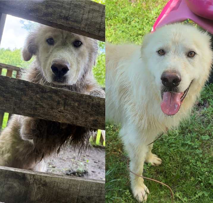 Photo of Marley Moo