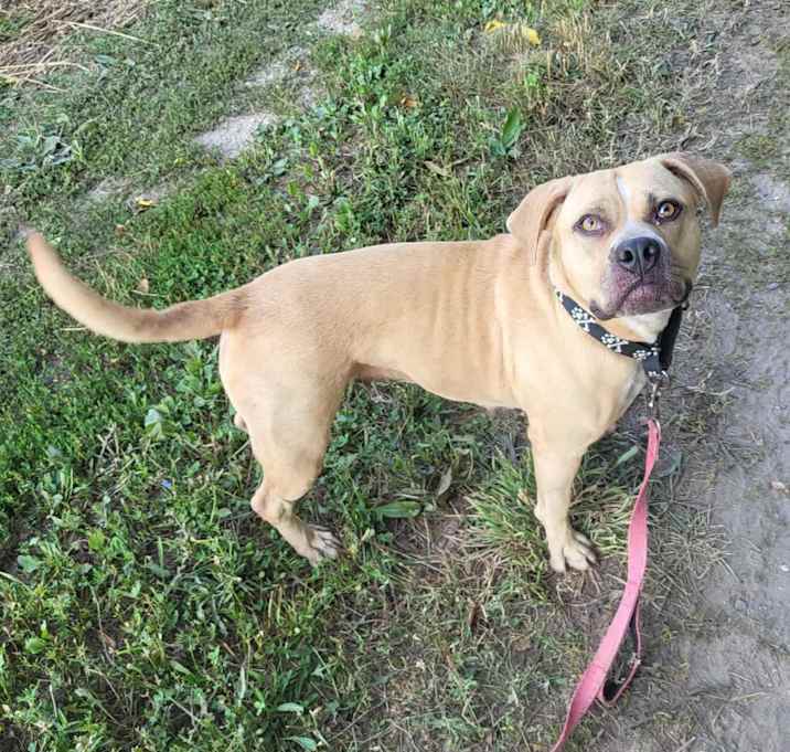 Photo of Pickles