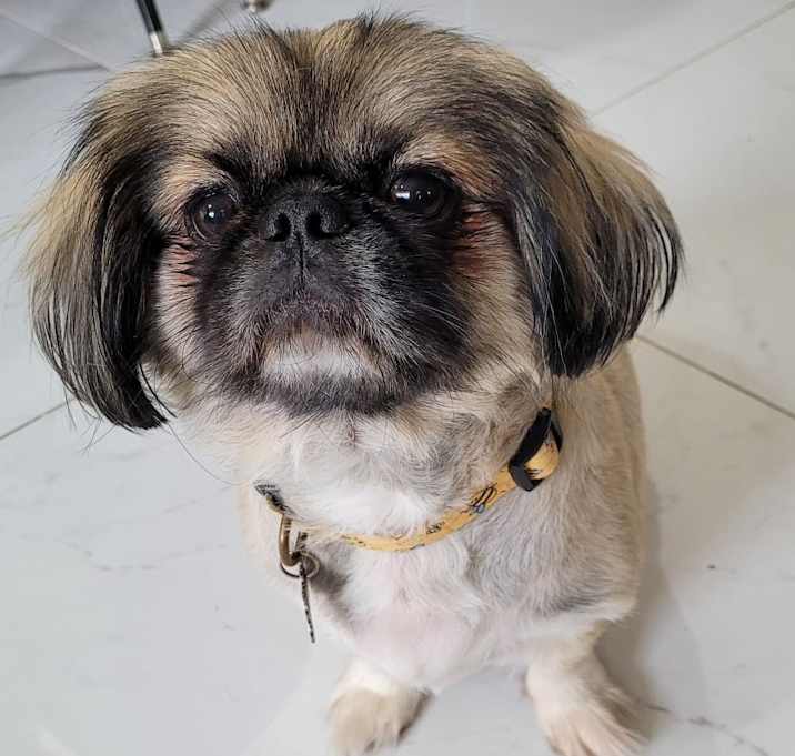 Photo of Charlie