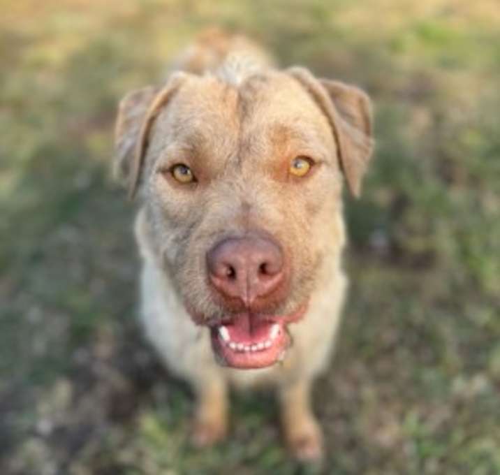 Photo of Baby C