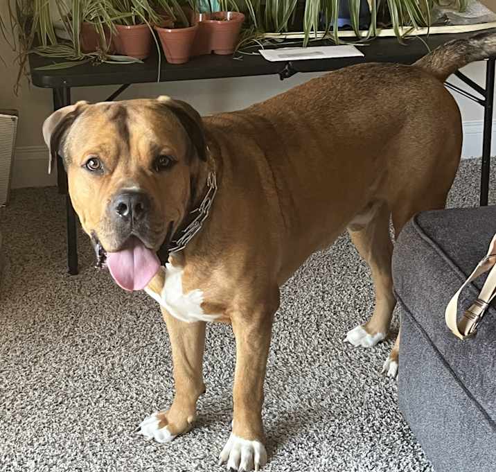 Photo of memphis "bleu"