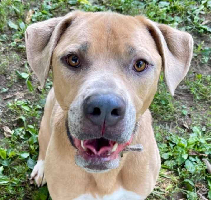 Photo of Big Thor