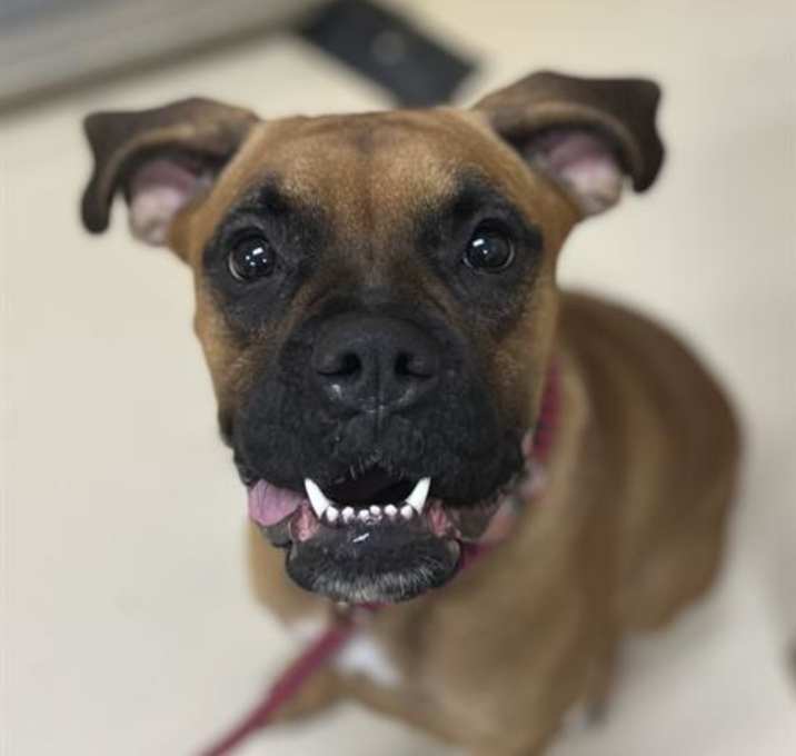 Photo of BUBBLES