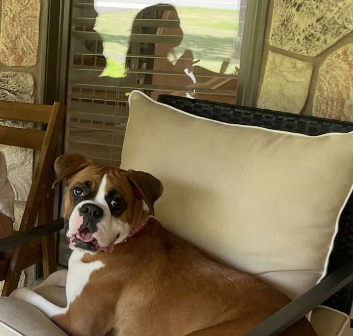 Photo of Cora