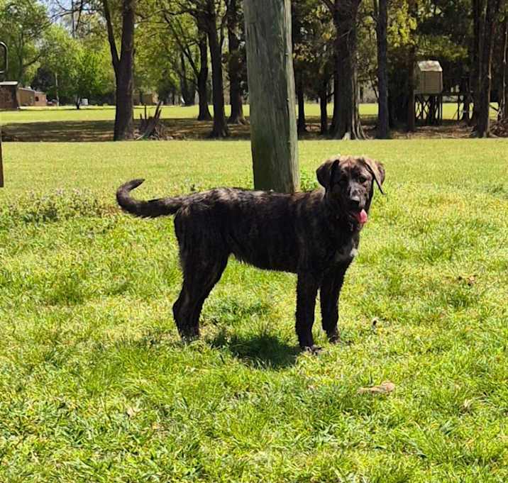 Photo of Millie