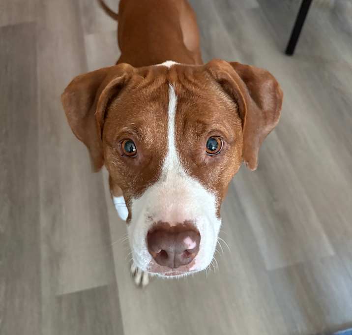 Photo of Lucy 