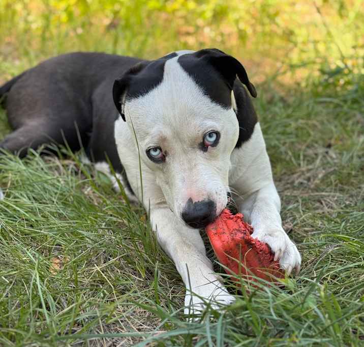 Photo of Molly