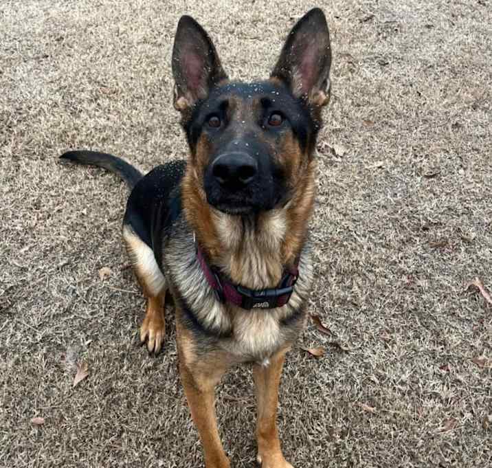 Photo of Tilly