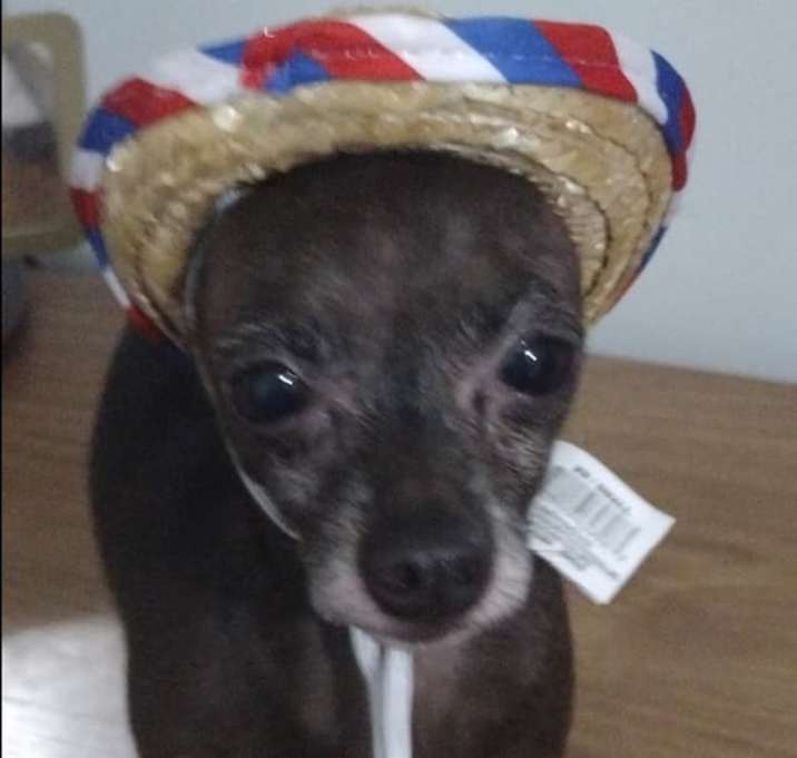 Photo of Urkel