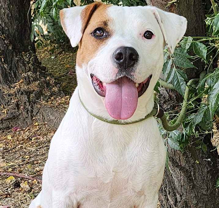 Photo of Winnie
