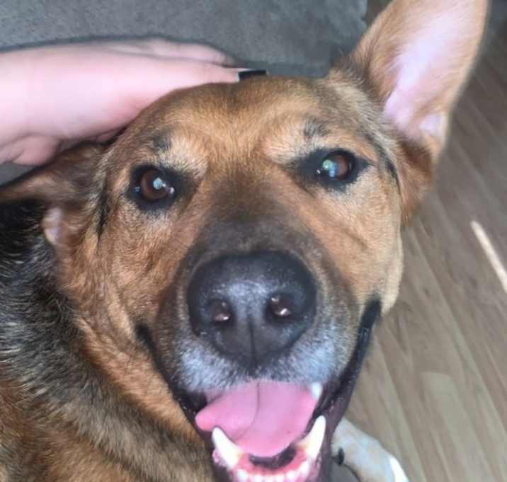 Photo of Odin