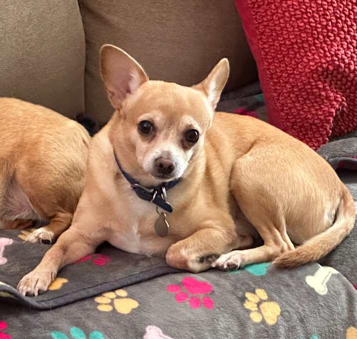 Photo of Jasper