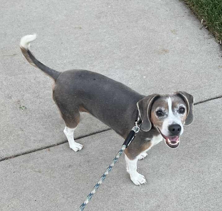 Photo of Finley