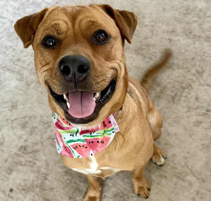 Photo of Betsy