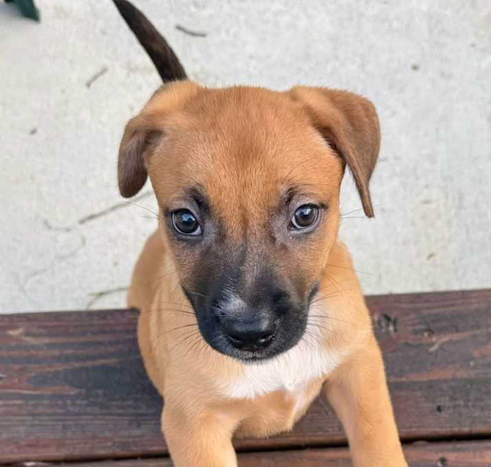 Photo of Elsa