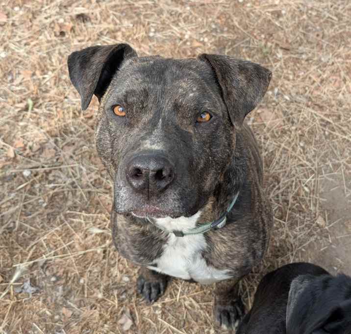 Photo of Boo Boo