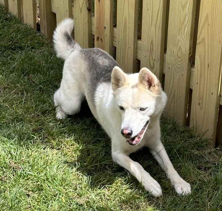 Photo of Beni