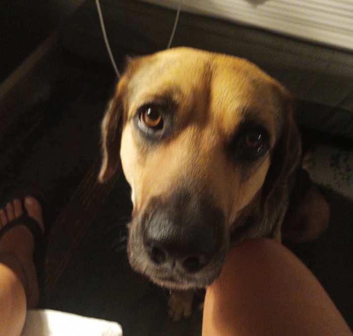 Photo of Lilly
