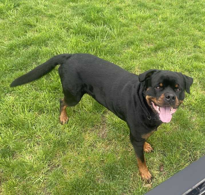 Photo of Ace