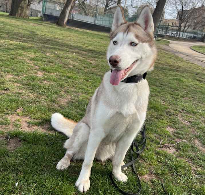 Photo of Sheyla