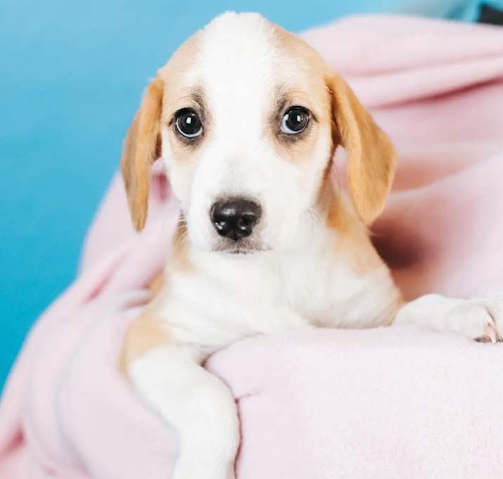 Photo of Winnie