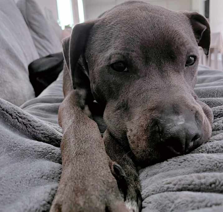 Photo of Ace