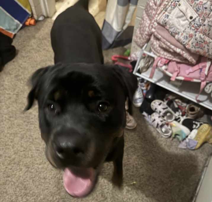 Photo of Chop