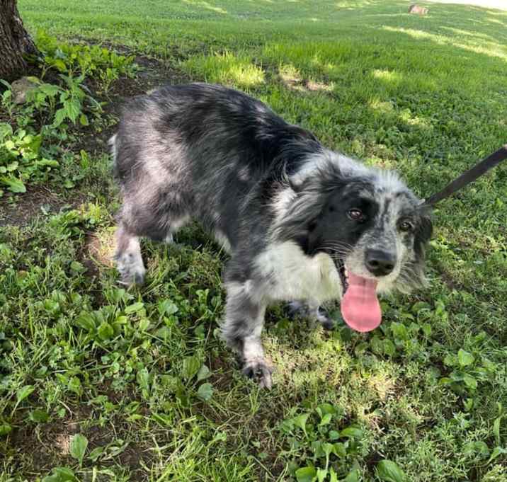 Photo of Cassie