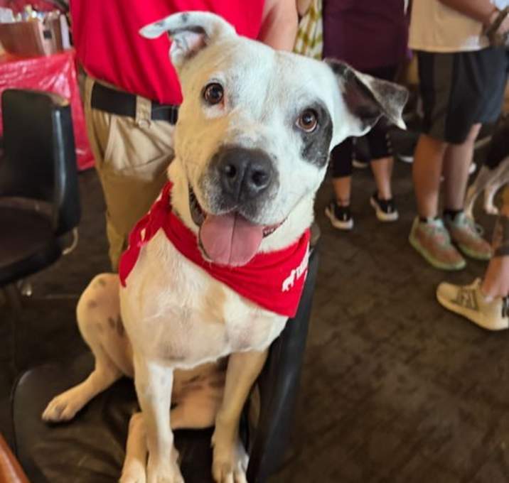 Photo of Spike