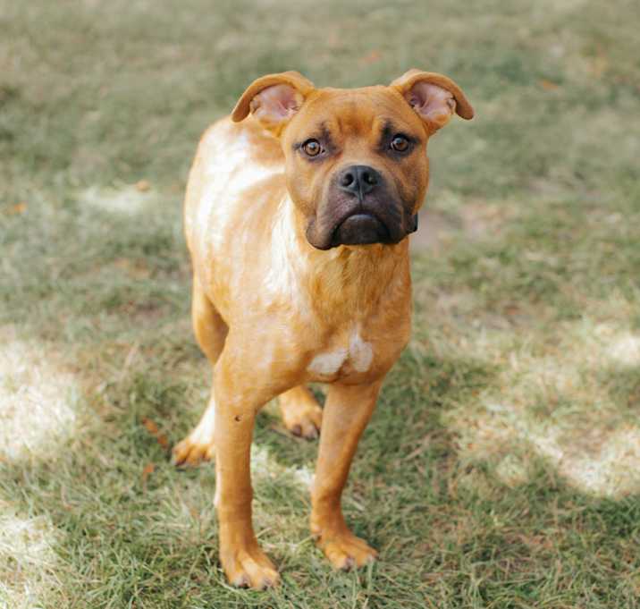 Photo of Brucey