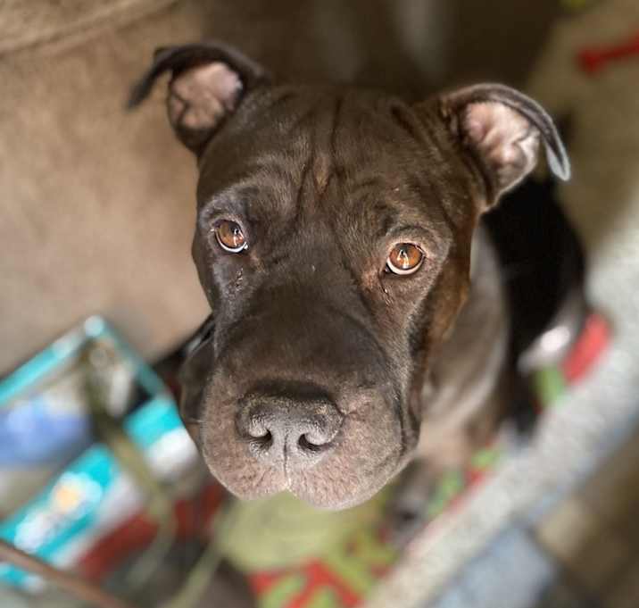 Photo of Bud